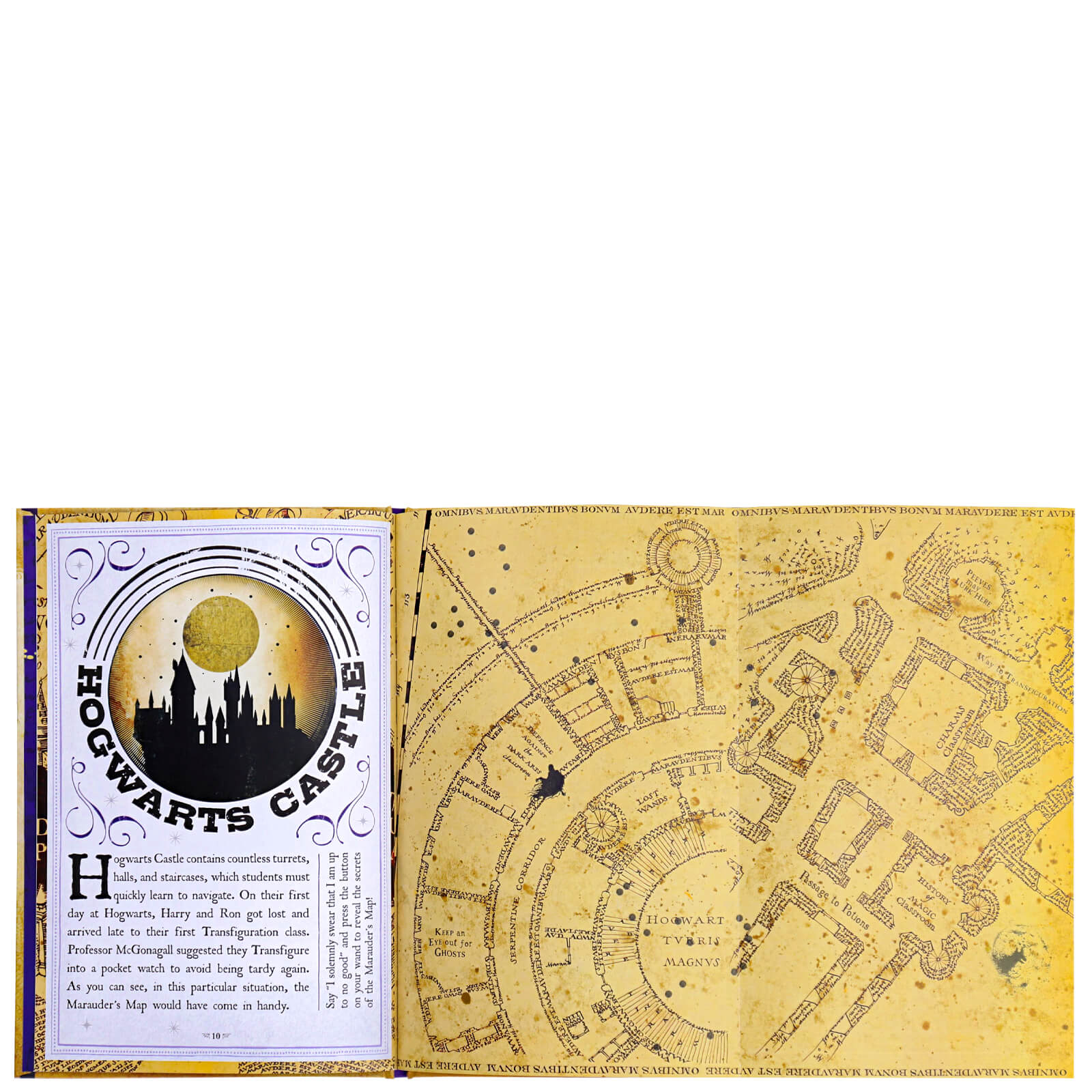 Scuola Di Magia E Stregoneria Di Hogwarts 32 Cm Edizione Limitata - Harry Potter Mastercraft - Foto 2