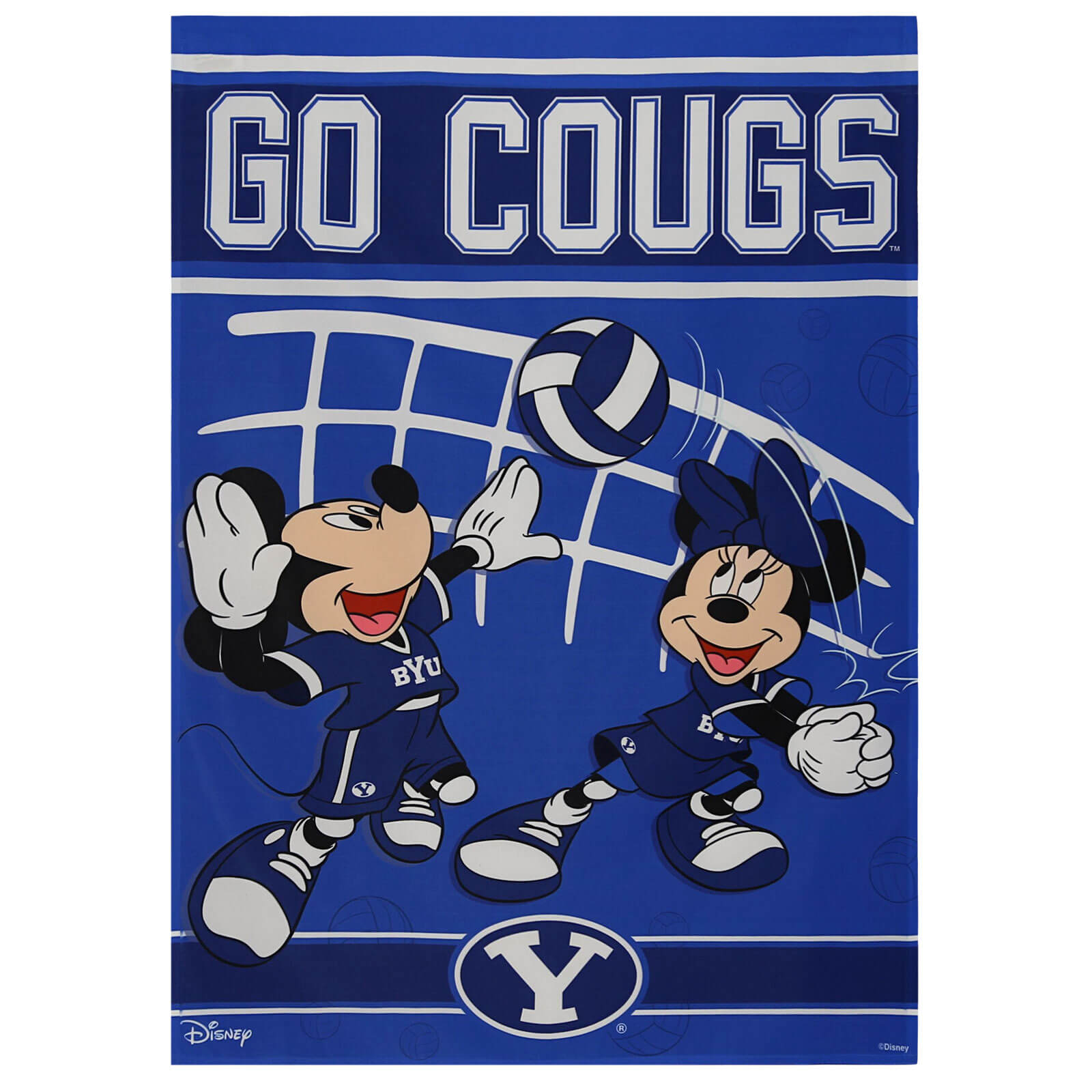 Disney 28x40 Vertical Flag