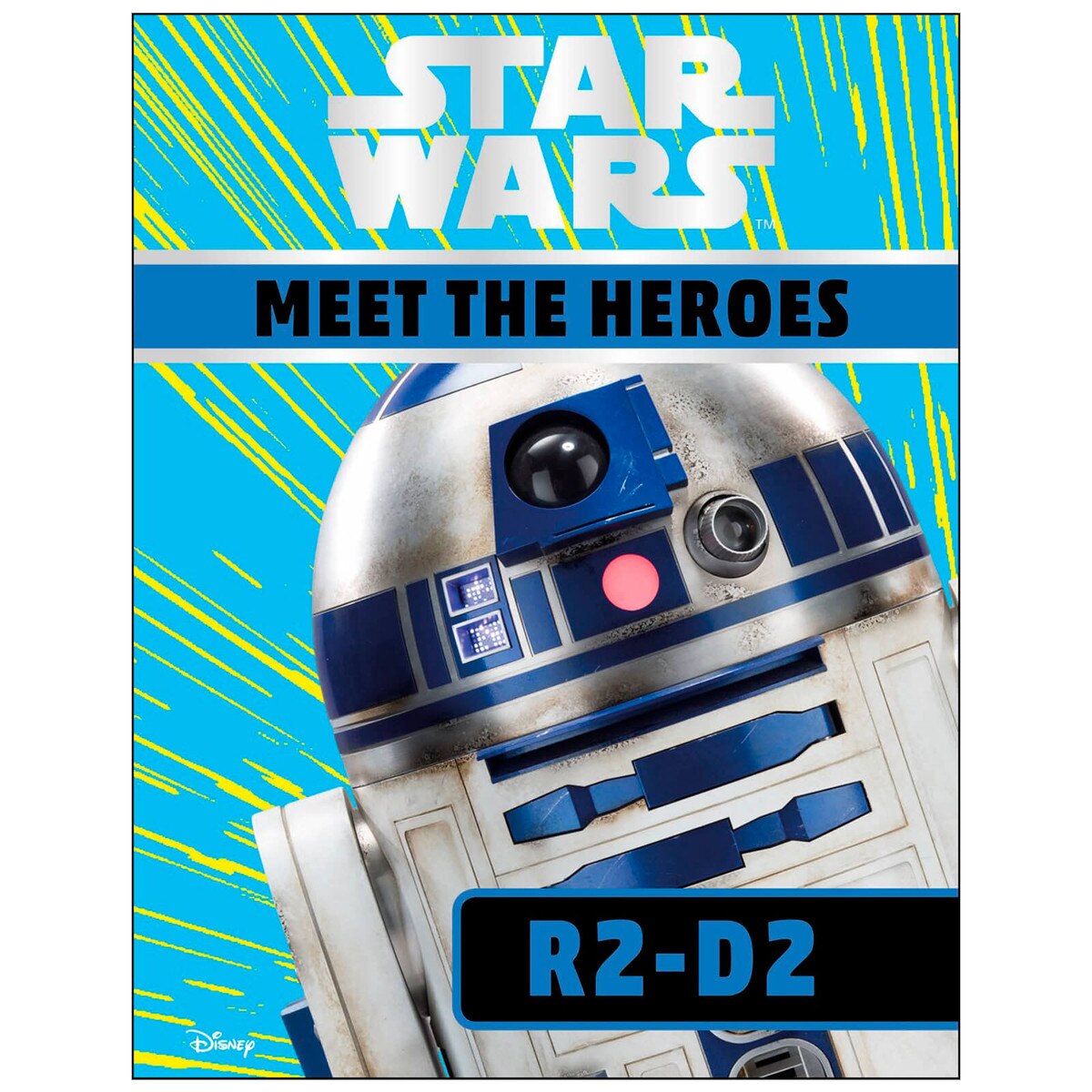 Star Wars Meet the Heroes R2D2
