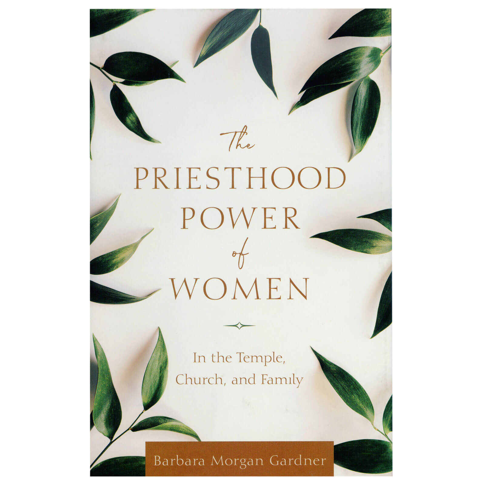 the priesthood power of women by barbara morgan gardner the priesthood power of women by barbara morgan gardner