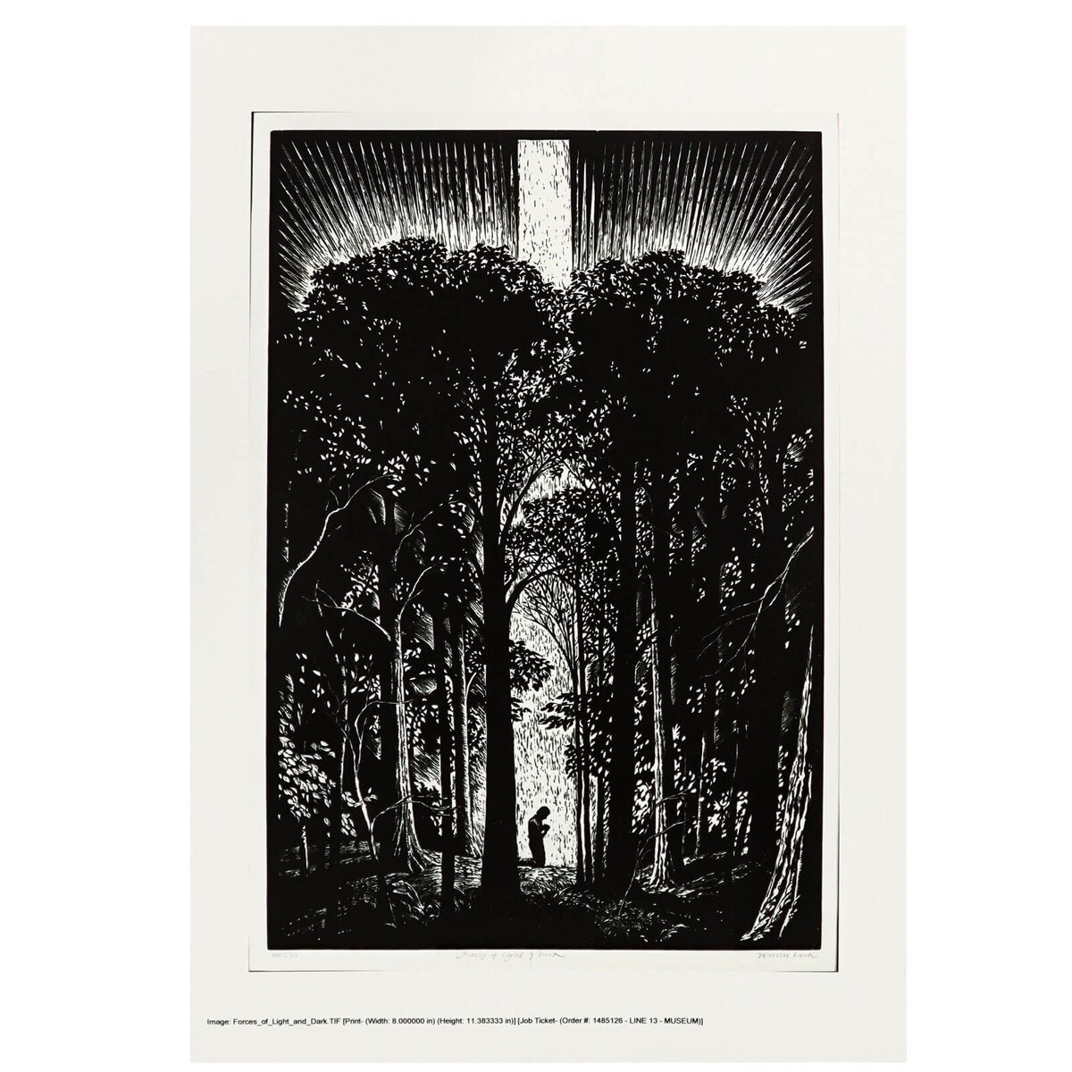 Art Print: Forces of Light and Dark By Warren Luch - 7