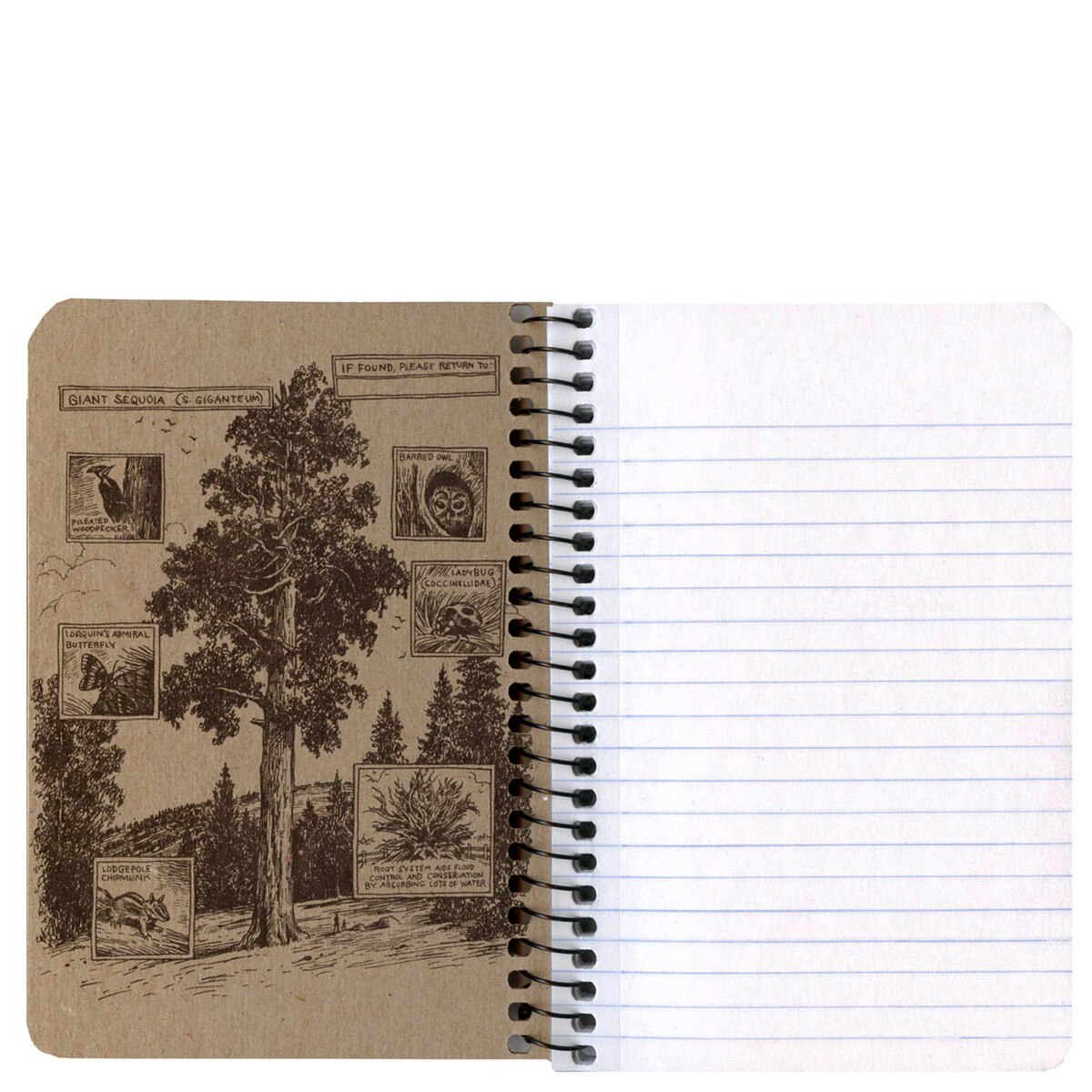 Humpback Whales Notebook 4" x 6"