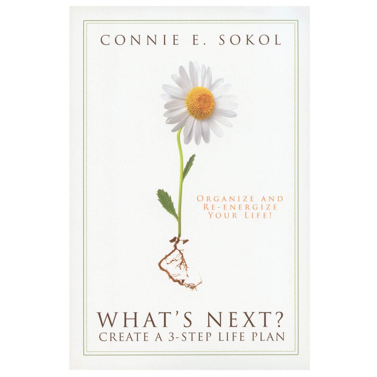 What s Next Create A 3 step Life Plan By Connie E Sokol what-s-next-create-a-3-step-life-plan-by-connie-e-sokol