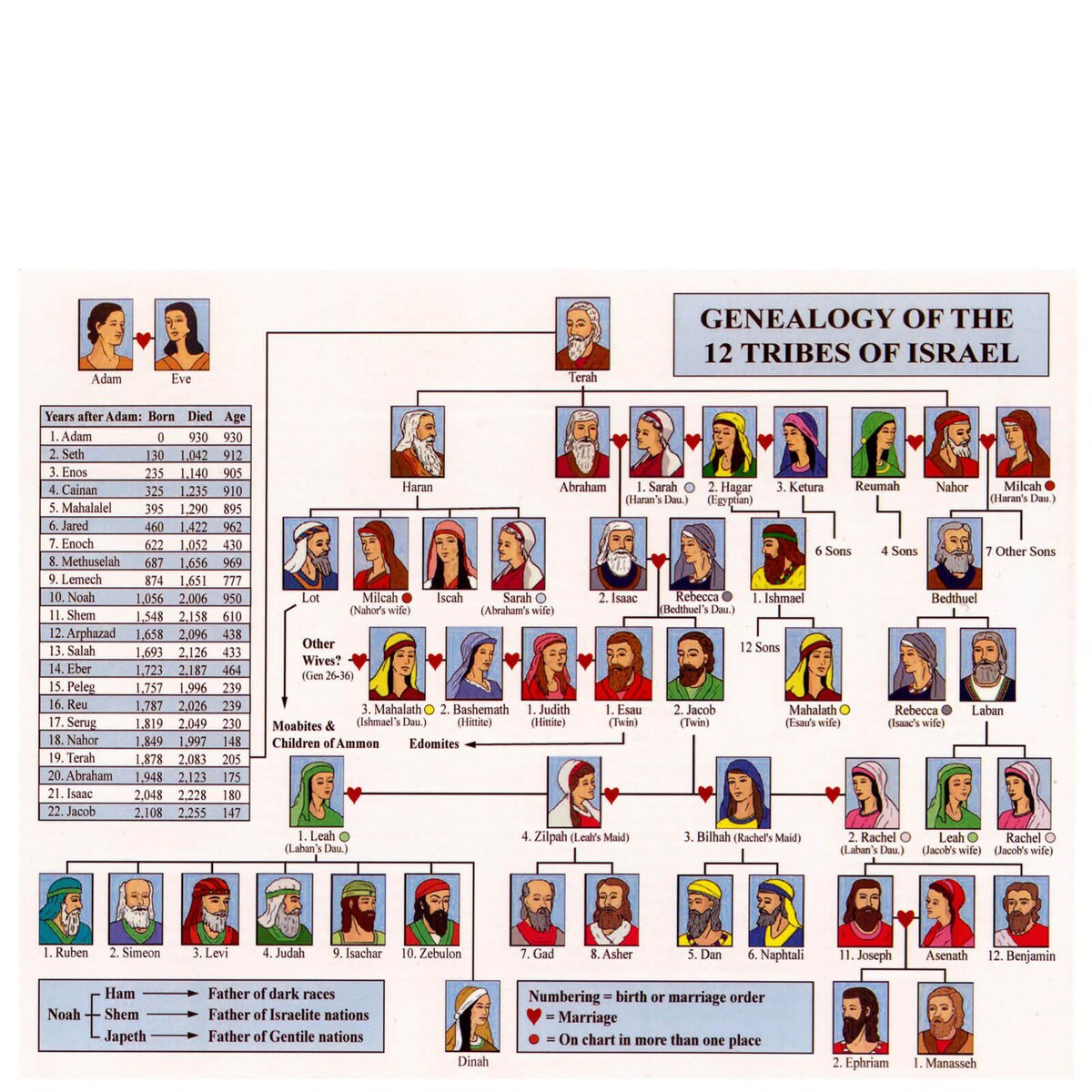 Genealogy of the 12 Tribes Reference Guide