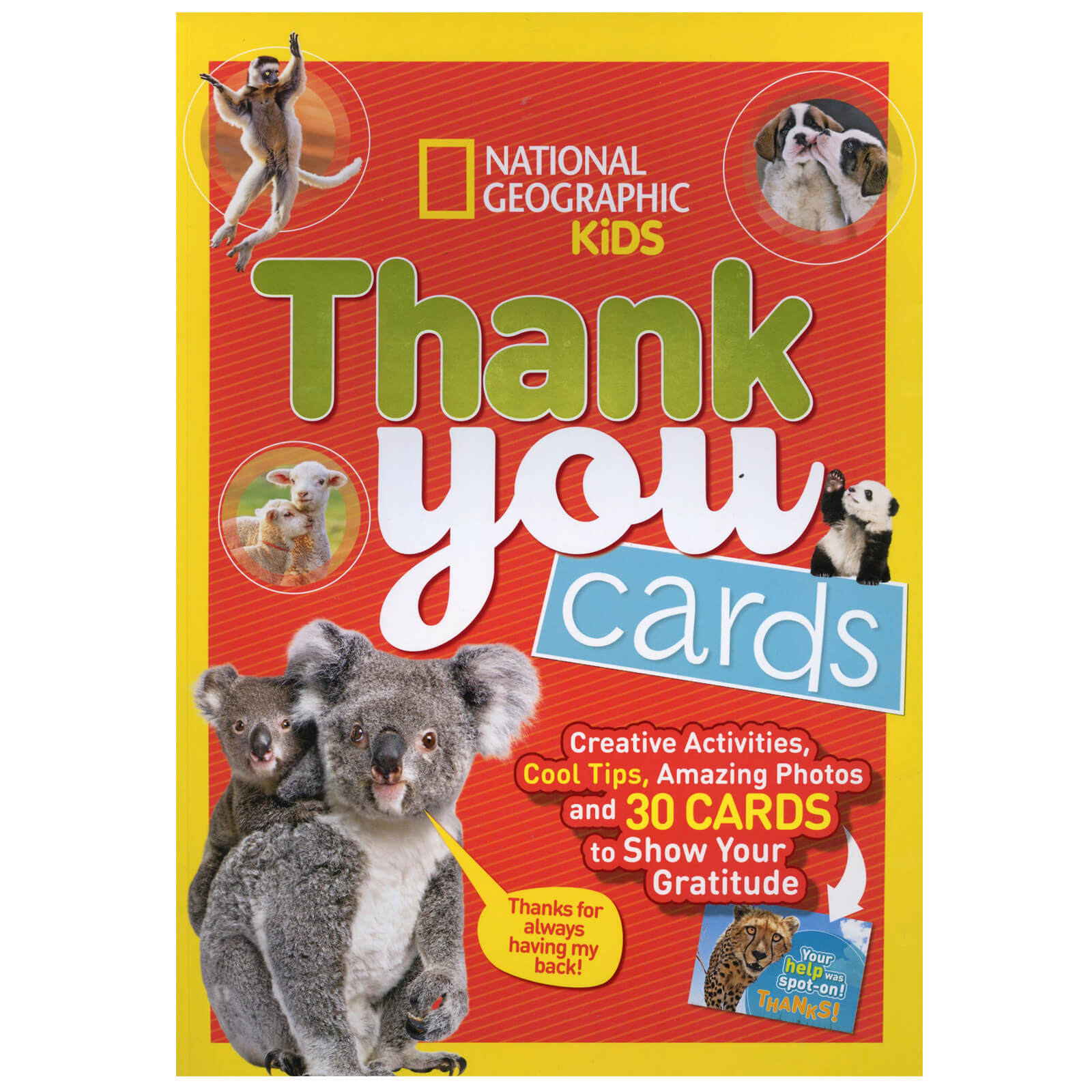 Panini National Geographic Kids Sammelkarten Tiere – Fat Pack Mit 24 Karten + 2 Sonderkarten