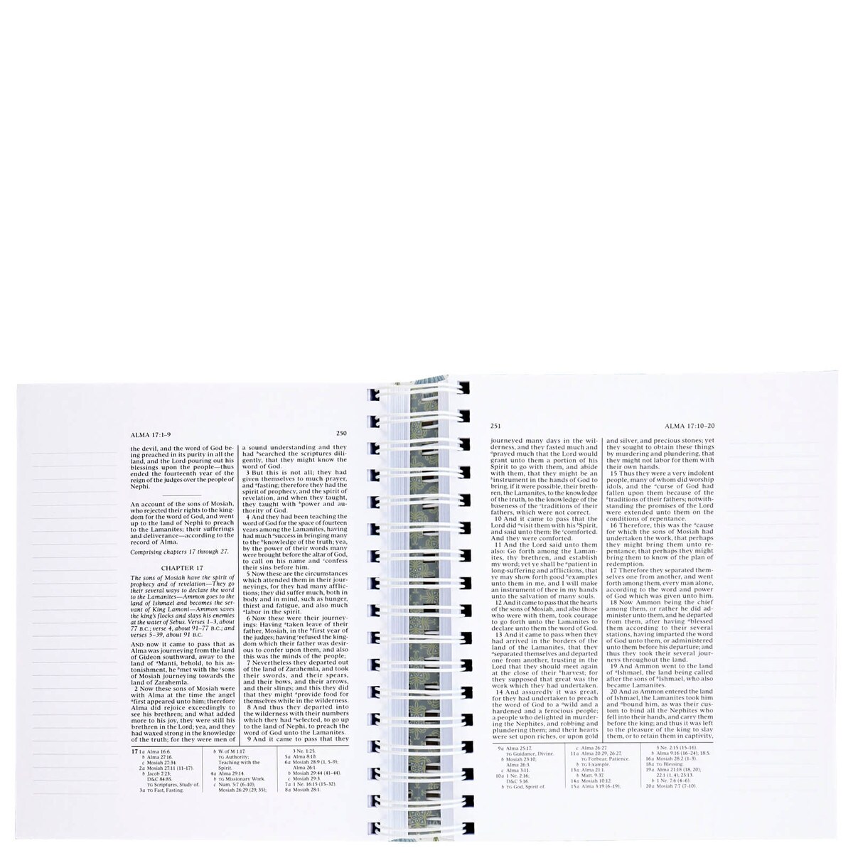Blue Flowers Book Of Mormon Journal Edition Spiral Bound