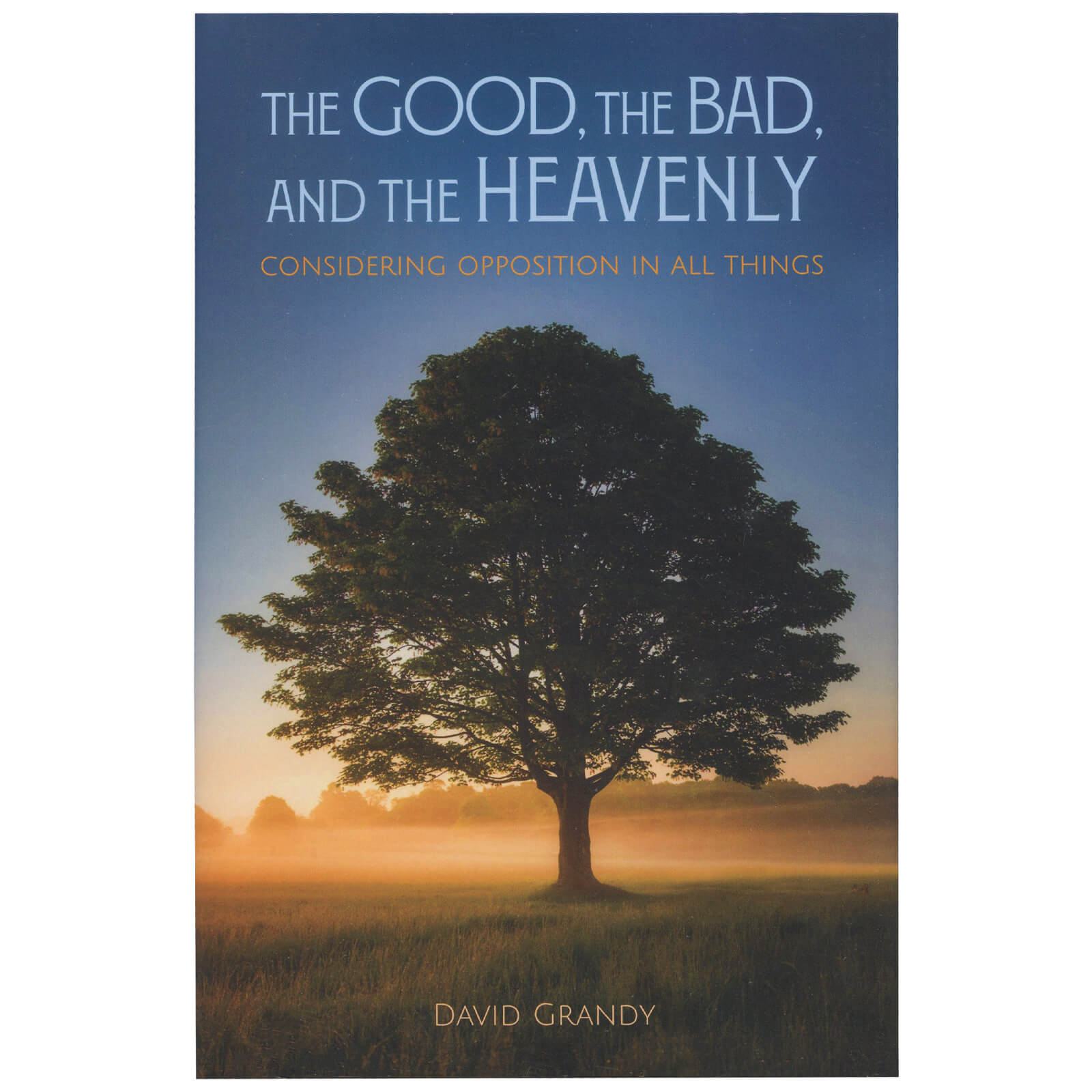 The Good, The Bad, And The Heavenly: Considering Opposition In All ...