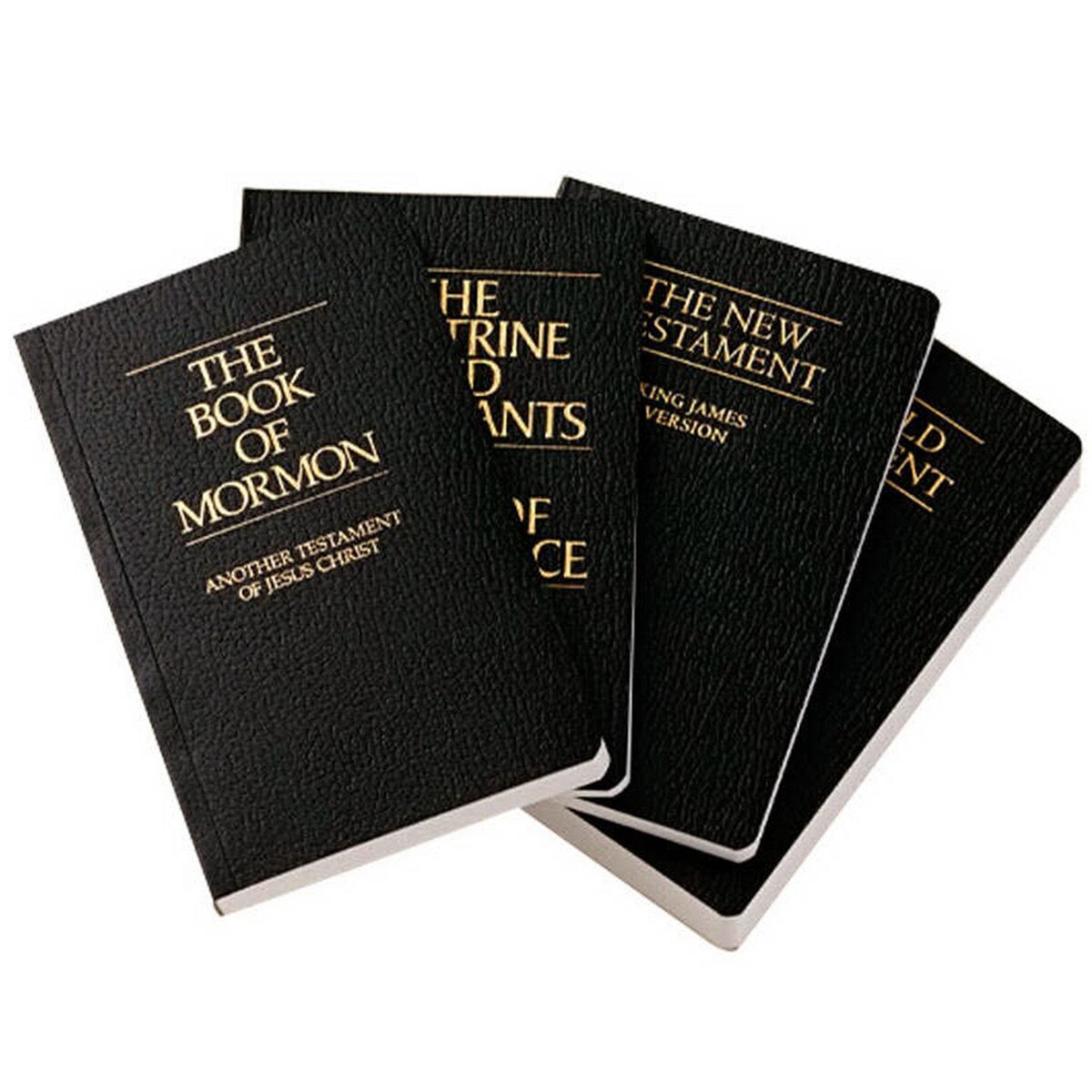 2013 Scripture Set
